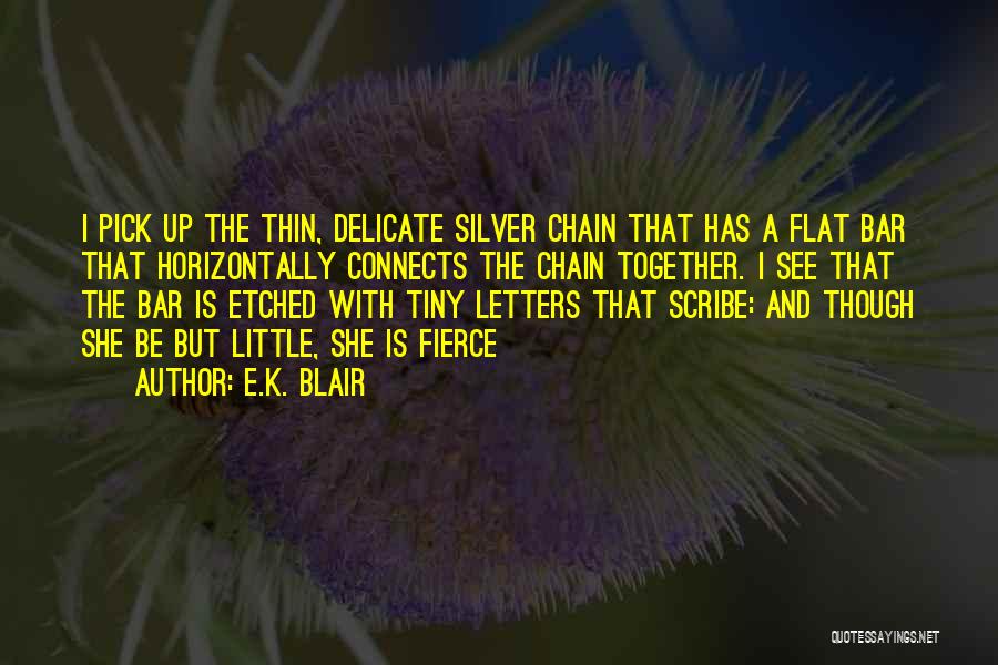 Chain Letters Quotes By E.K. Blair