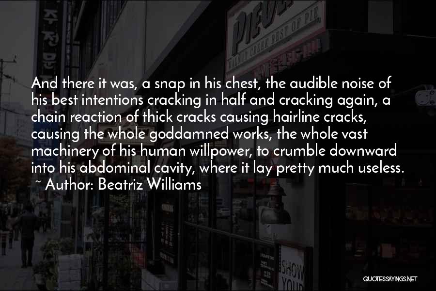 Chain Reaction Quotes By Beatriz Williams