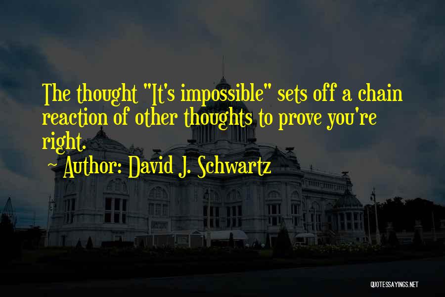 Chain Reaction Quotes By David J. Schwartz