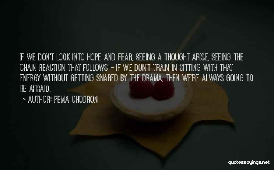 Chain Reaction Quotes By Pema Chodron