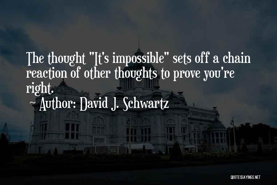 Chain Reactions Quotes By David J. Schwartz