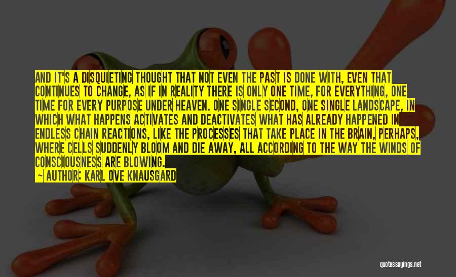 Chain Reactions Quotes By Karl Ove Knausgard