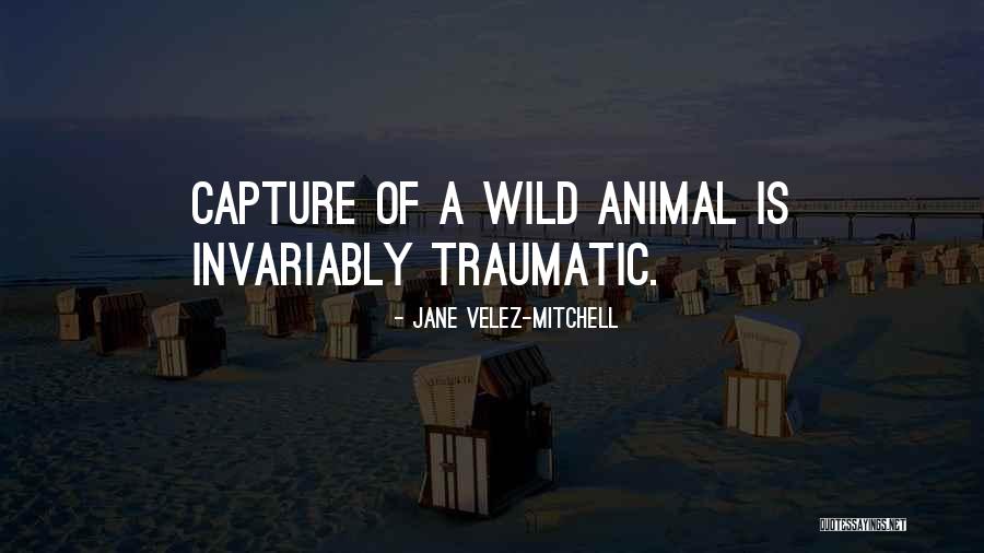 Chainakul Owasso Quotes By Jane Velez-Mitchell Chainakul Owasso Quotes By Jane Velez-Mitchell
