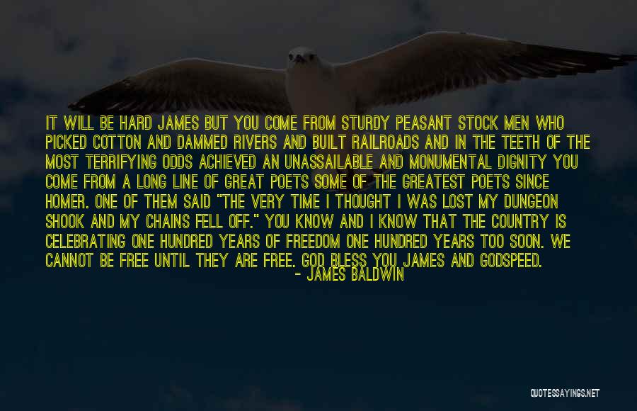 Chains Of Freedom Quotes By James Baldwin Chains Of Freedom Quotes By James Baldwin