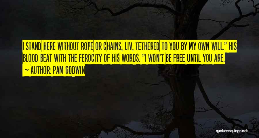 Chains Quotes By Pam Godwin