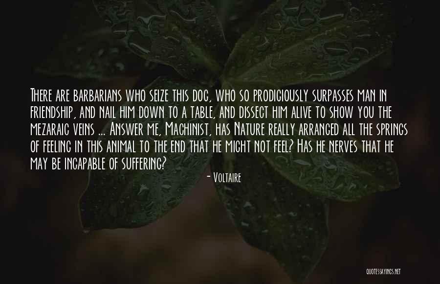 Chalais Switzerland Quotes By Voltaire Chalais Switzerland Quotes By Voltaire