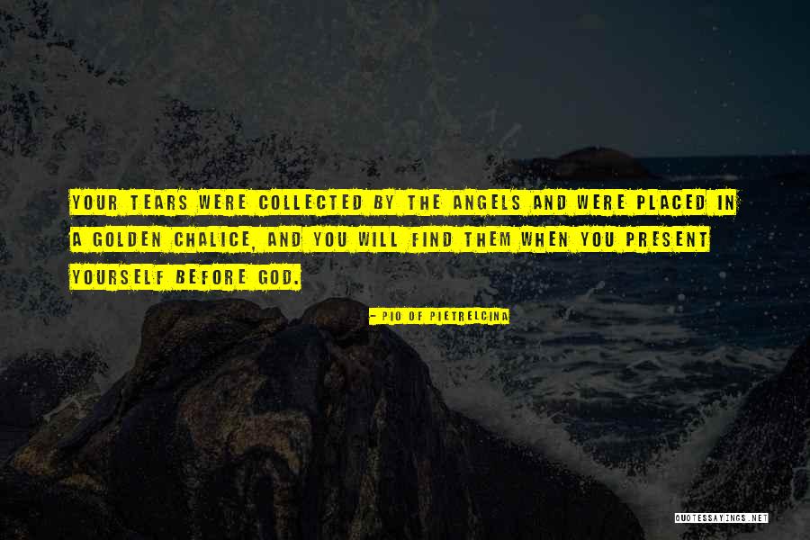 Chalice Well Quotes By Pio Of Pietrelcina Chalice Well Quotes By Pio Of Pietrelcina