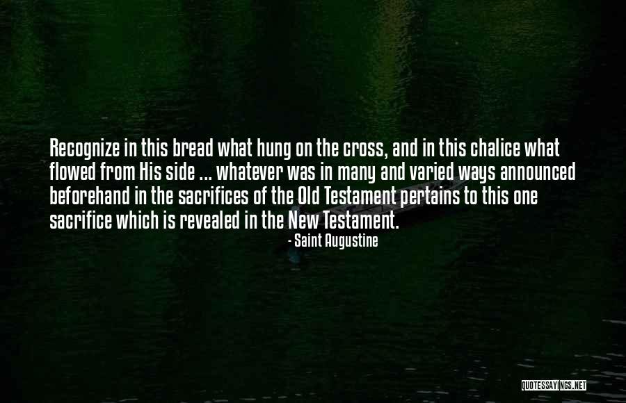 Chalice Well Quotes By Saint Augustine