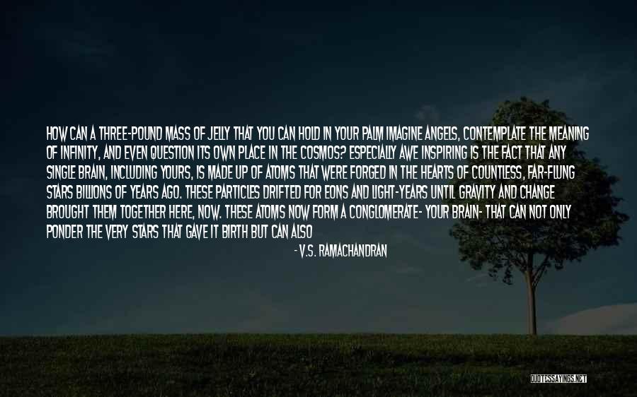 Chalk Garden Quotes By V.S. Ramachandran Chalk Garden Quotes By V.S. Ramachandran