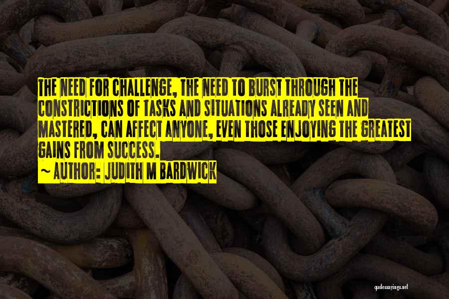 Challenge And Success Quotes By Judith M Bardwick