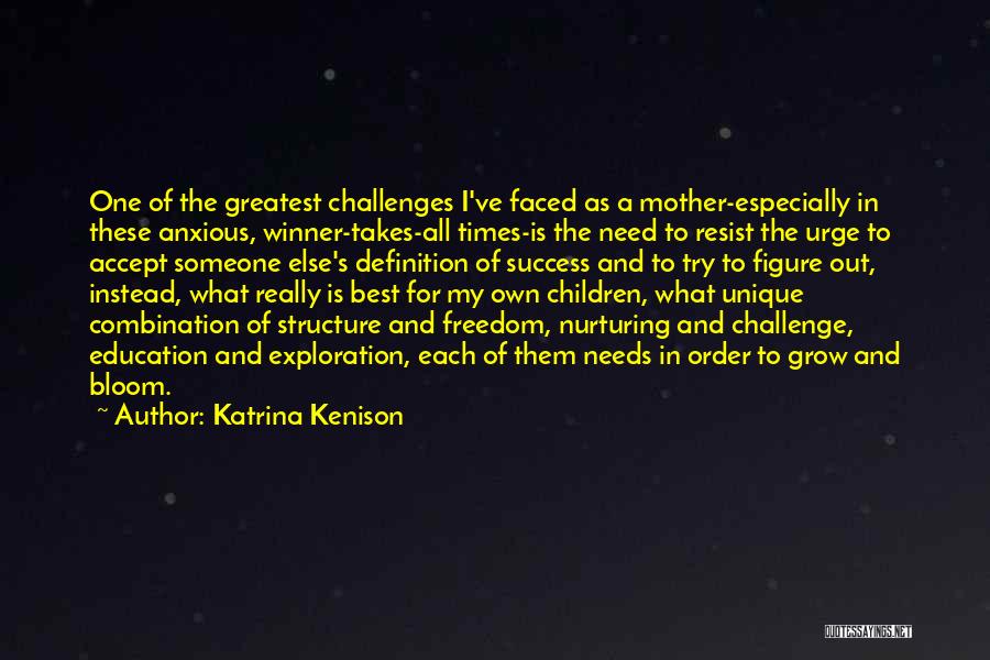 Challenge And Success Quotes By Katrina Kenison