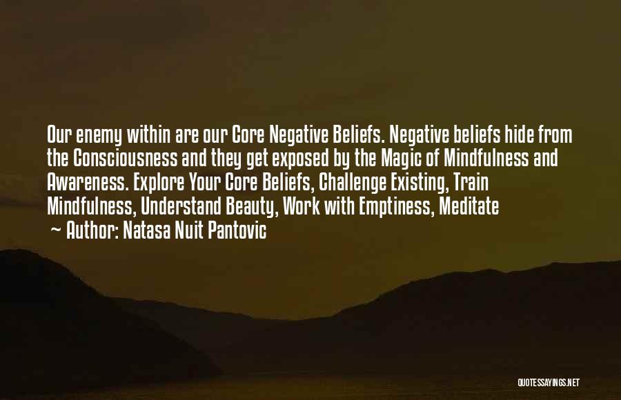 Challenge Beliefs Quotes By Natasa Nuit Pantovic