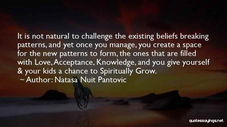 Challenge Beliefs Quotes By Natasa Nuit Pantovic