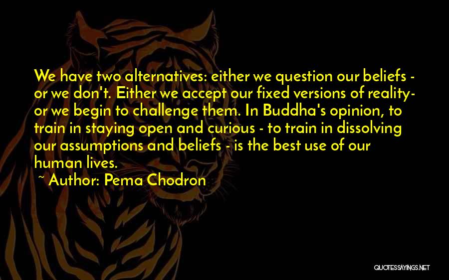 Challenge Beliefs Quotes By Pema Chodron