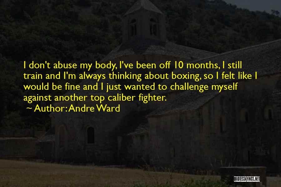 Challenge Myself Quotes By Andre Ward