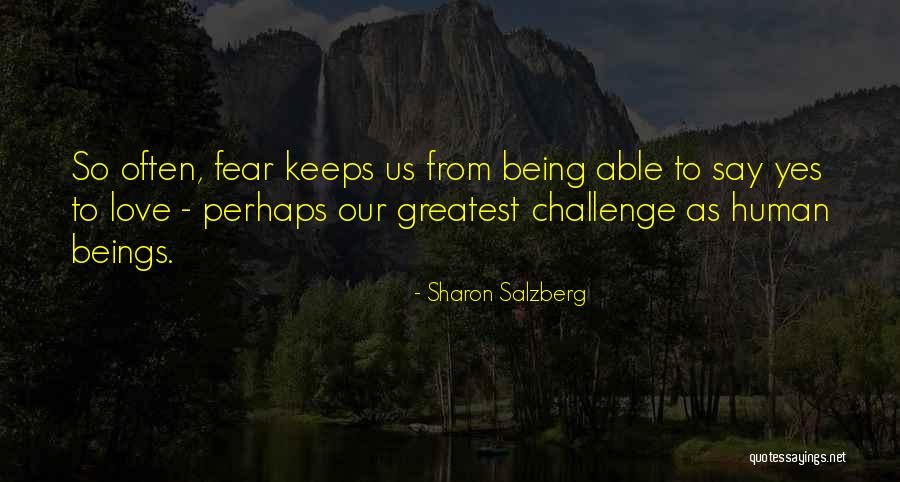Challenge Quotes Quotes By Sharon Salzberg Challenge Quotes Quotes By Sharon Salzberg