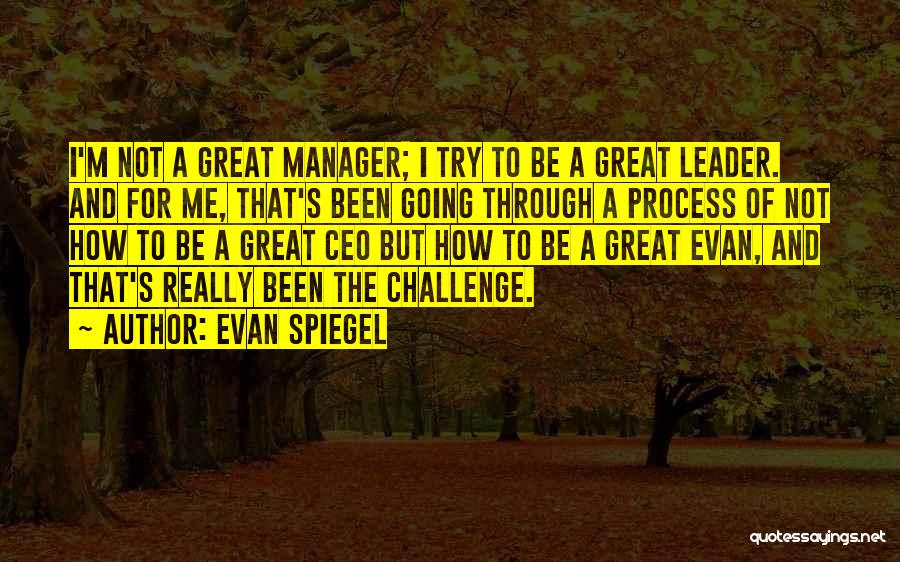 Challenge The Process Quotes By Evan Spiegel