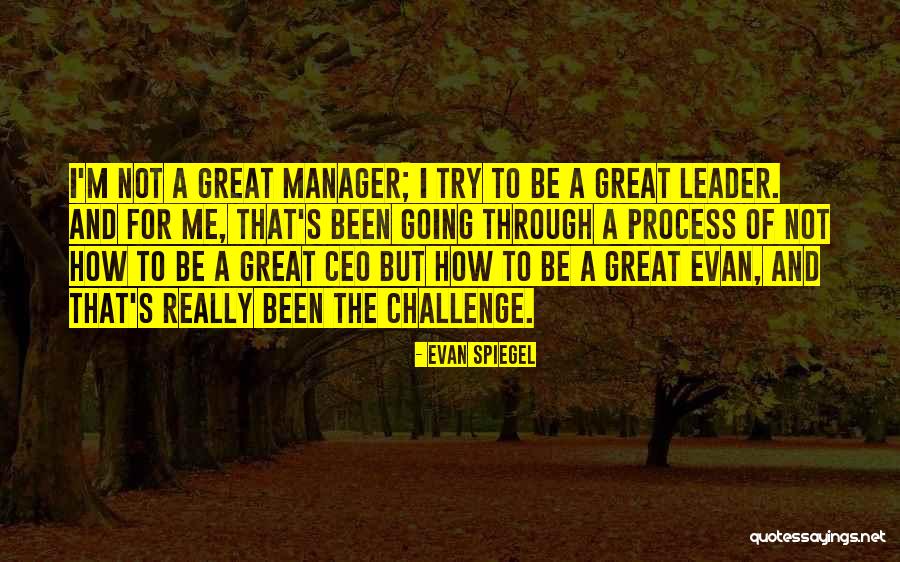 Challenge The Process Quotes By Evan Spiegel Challenge The Process Quotes By Evan Spiegel