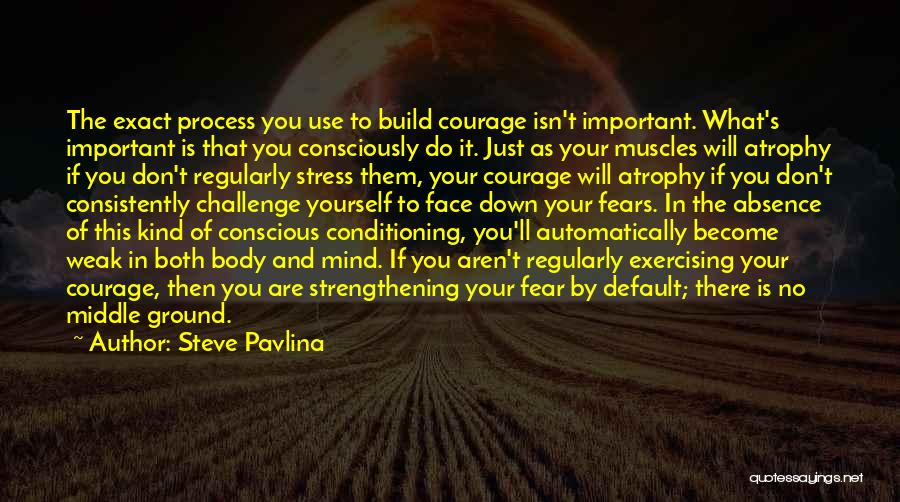 Challenge The Process Quotes By Steve Pavlina