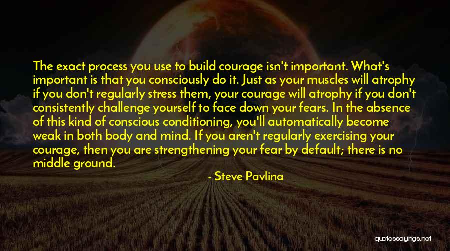 Challenge The Process Quotes By Steve Pavlina