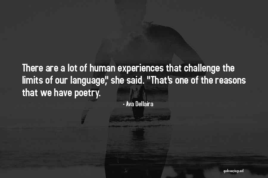 Challenge Your Limits Quotes By Ava Dellaira Challenge Your Limits Quotes By Ava Dellaira