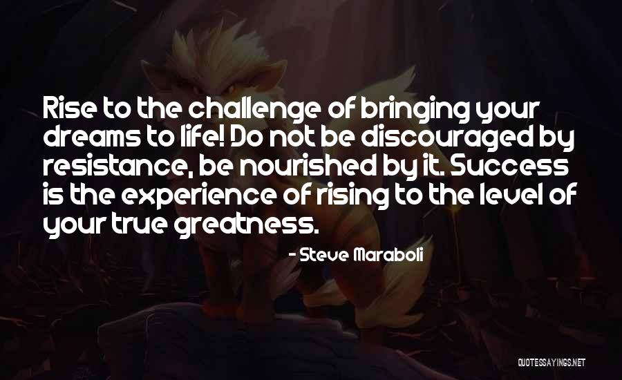 Challenge Yourself Inspirational Quotes By Steve Maraboli