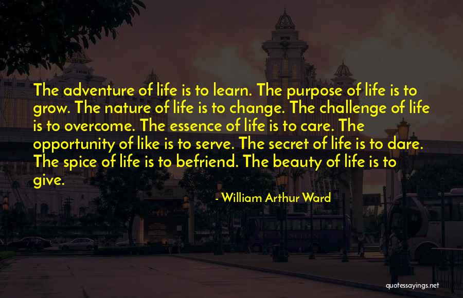 Challenge Yourself Inspirational Quotes By William Arthur Ward