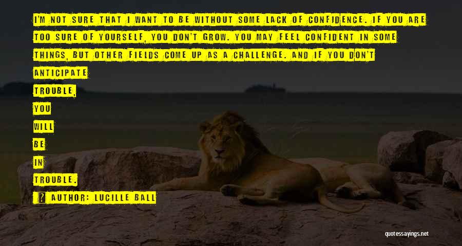 Challenge Yourself Quotes By Lucille Ball