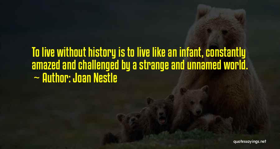 Challenged Quotes By Joan Nestle