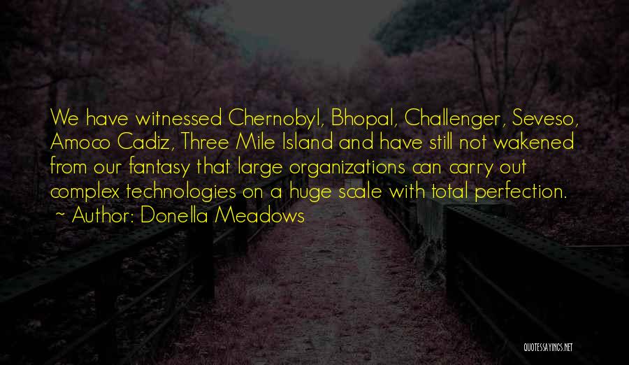 Challenger Quotes By Donella Meadows