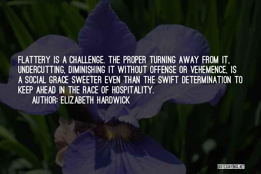 Challenges And Determination Quotes By Elizabeth Hardwick
