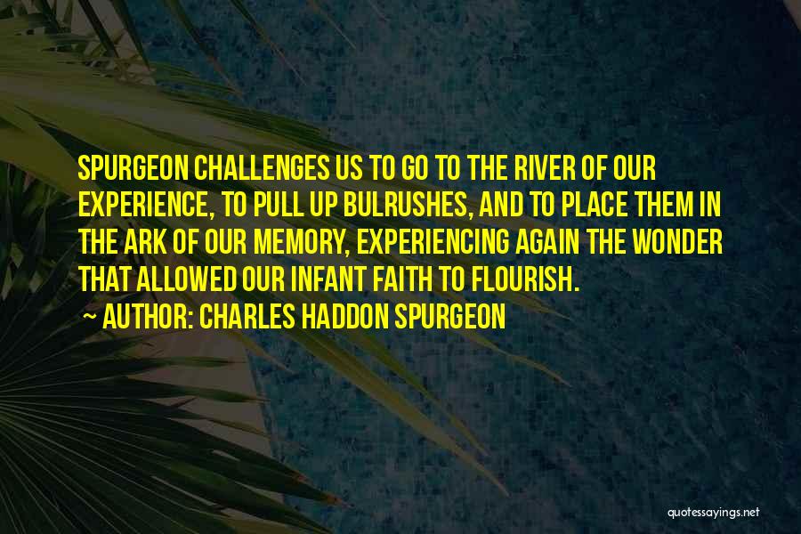 Challenges And Faith Quotes By Charles Haddon Spurgeon