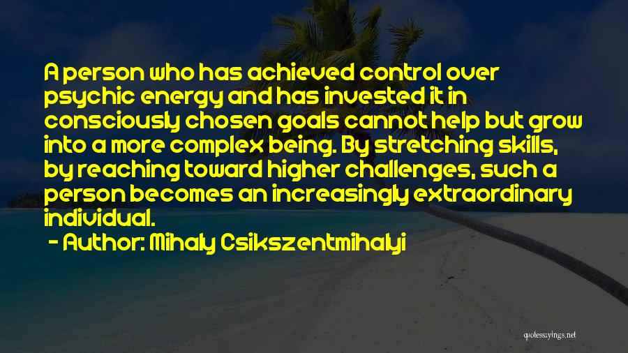 Challenges And Goals Quotes By Mihaly Csikszentmihalyi