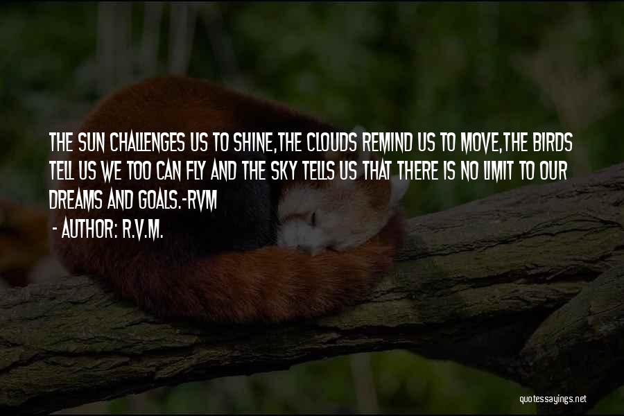 Challenges And Goals Quotes By R.v.m.