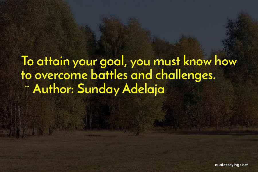 Challenges And Goals Quotes By Sunday Adelaja