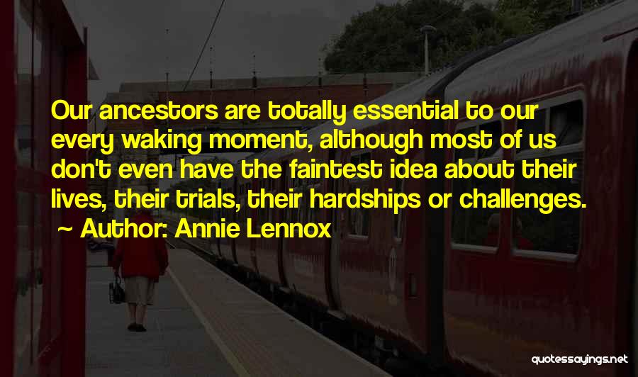 Challenges And Hardships Quotes By Annie Lennox