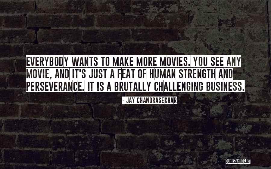 Challenges And Perseverance Quotes By Jay Chandrasekhar