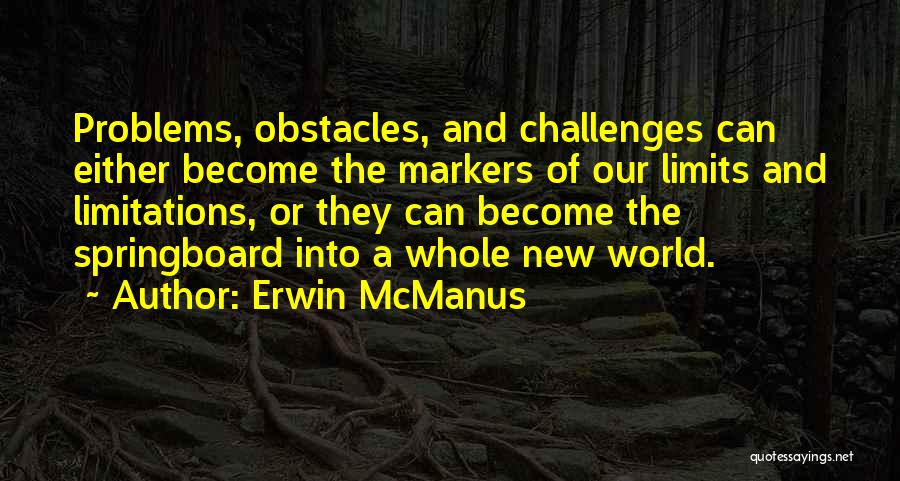 Challenges And Problems Quotes By Erwin McManus