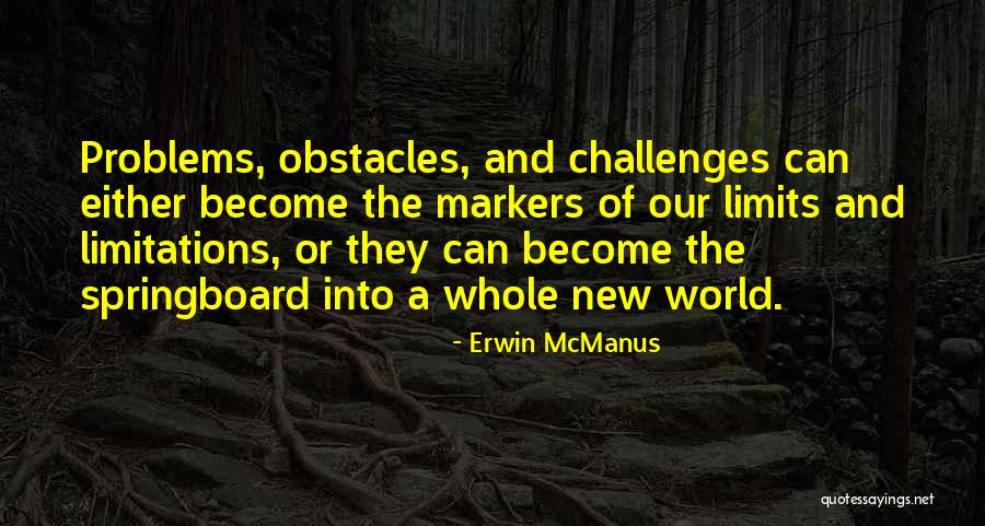 Challenges And Problems Quotes By Erwin McManus