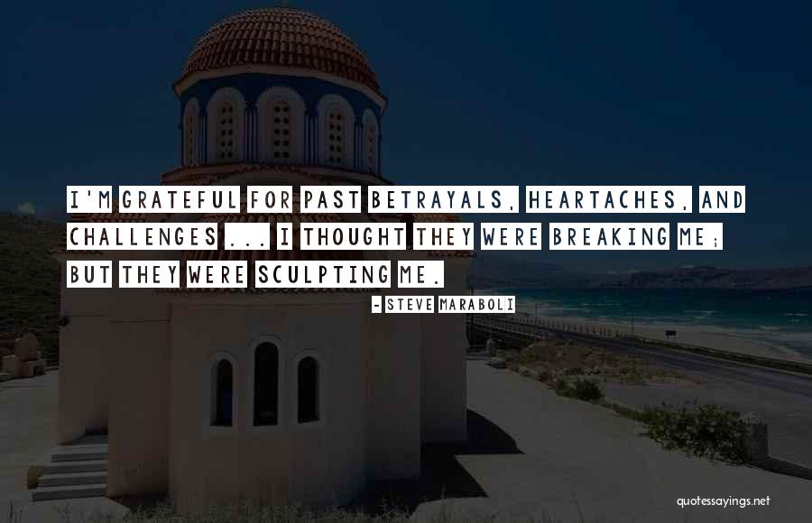 Challenges And Strength Quotes By Steve Maraboli Challenges And Strength Quotes By Steve Maraboli