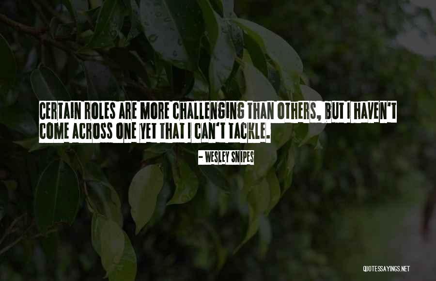 Challenging Others Quotes By Wesley Snipes Challenging Others Quotes By Wesley Snipes