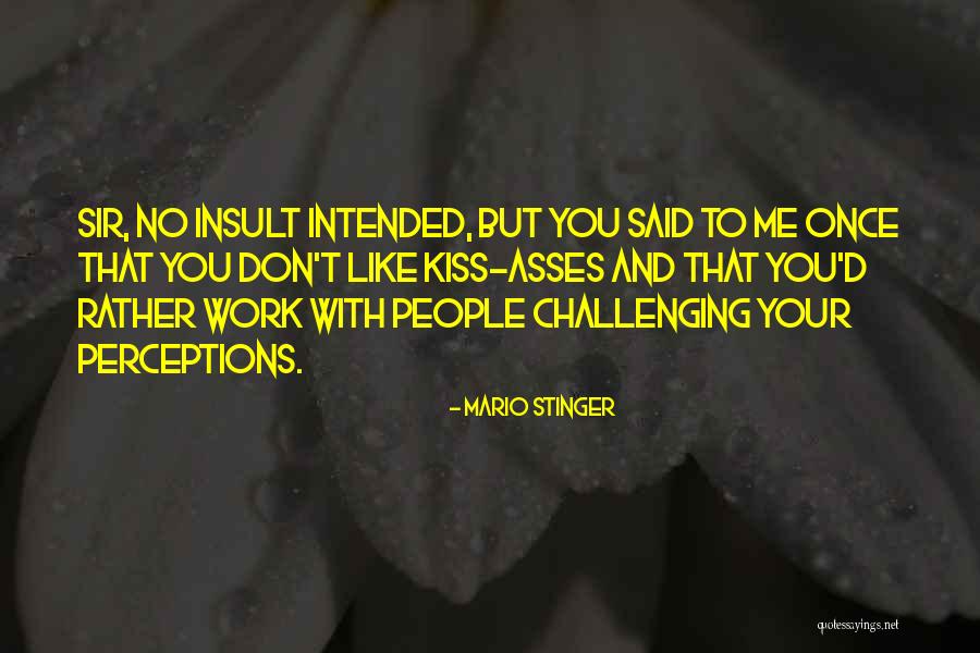 Challenging People Quotes By Mario Stinger Challenging People Quotes By Mario Stinger