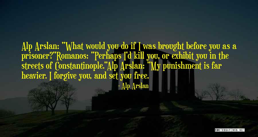 Challenging Stereotypes Quotes By Alp Arslan