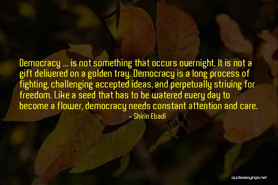 Challenging The Process Quotes By Shirin Ebadi