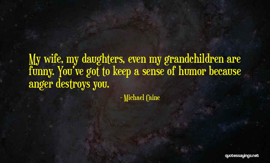 Chalva Lidl Quotes By Michael Caine Chalva Lidl Quotes By Michael Caine