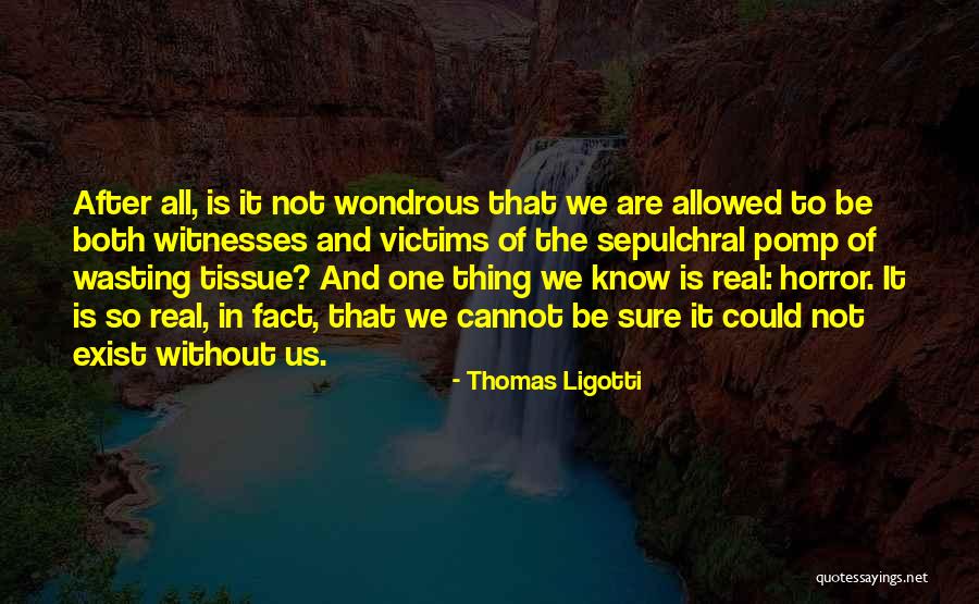 Chamakam Quotes By Thomas Ligotti Chamakam Quotes By Thomas Ligotti
