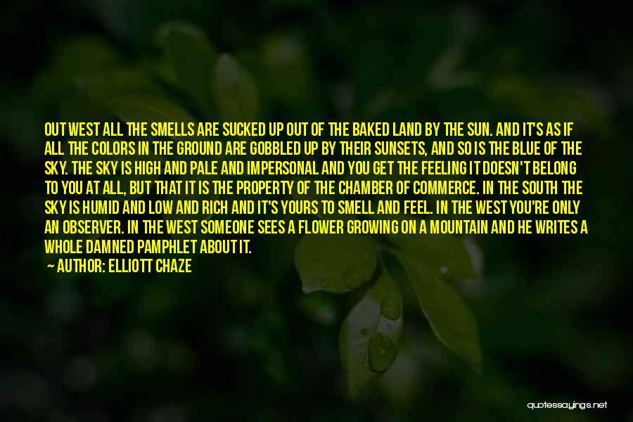 Chamber Of Commerce Quotes By Elliott Chaze