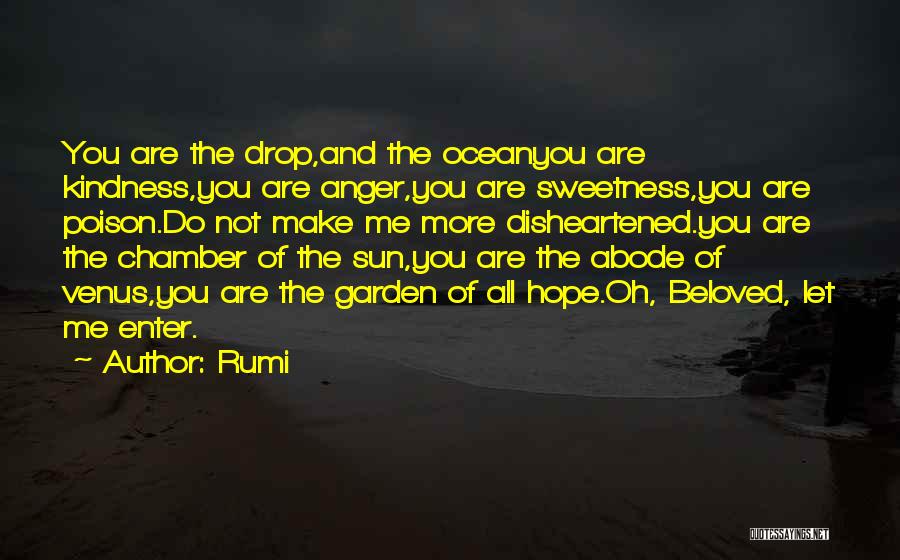 Chamber Quotes By Rumi