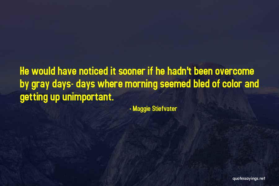 Chambered Pith Quotes By Maggie Stiefvater Chambered Pith Quotes By Maggie Stiefvater