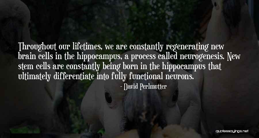 Chameleon Escape Quotes By David Perlmutter Chameleon Escape Quotes By David Perlmutter